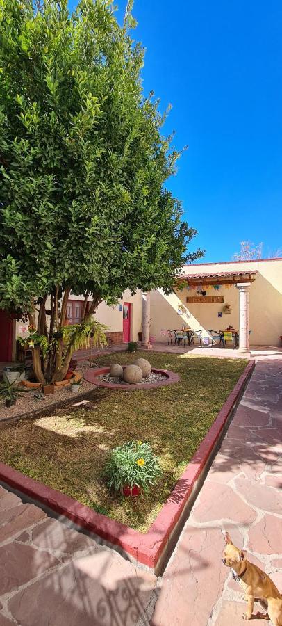 Hostal Iká Chihuahua Exterior foto